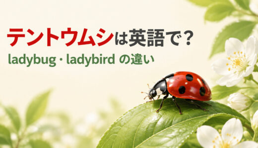 テントウムシは英語で？ladybug・ladybirdの米英差と名前の由来