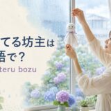 てるてる坊主は英語でteru teru bozu