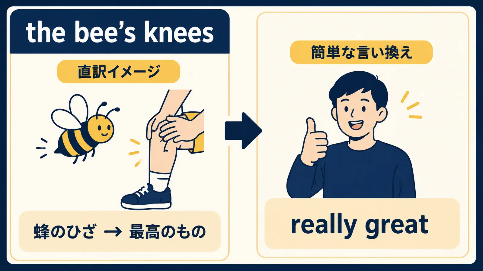 the bee’s kneesの直訳と実際の意味の図解
