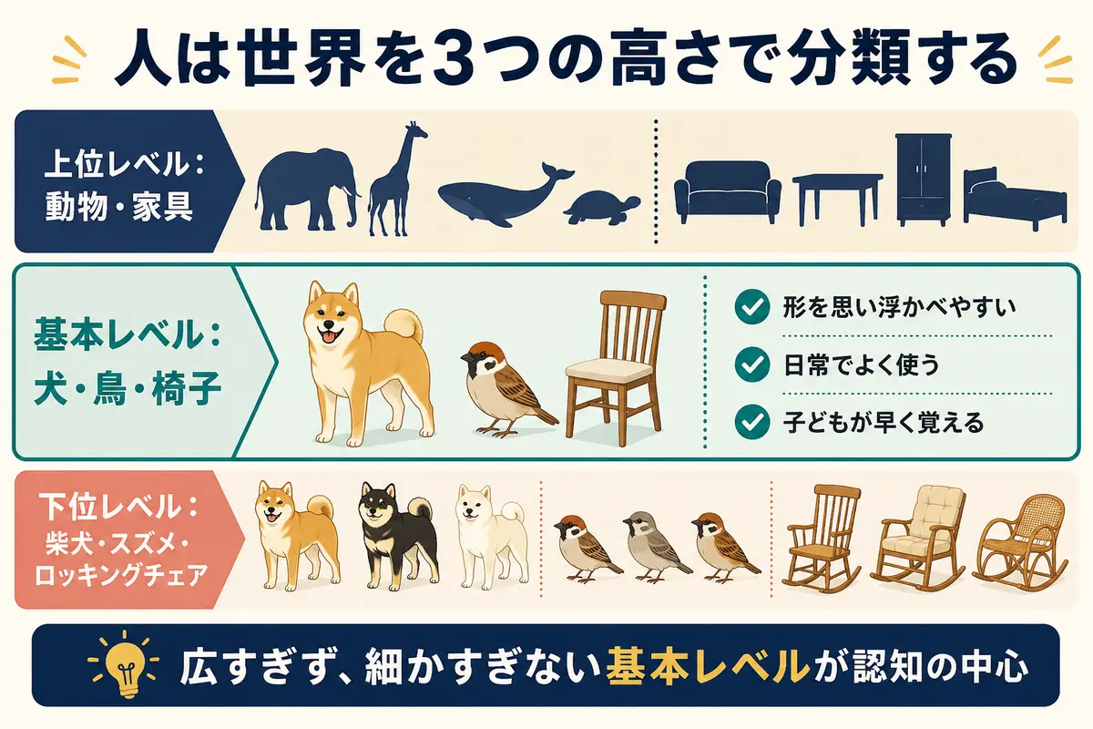 動物・鳥・スズメなど上位・基本・下位というカテゴリーの3段階