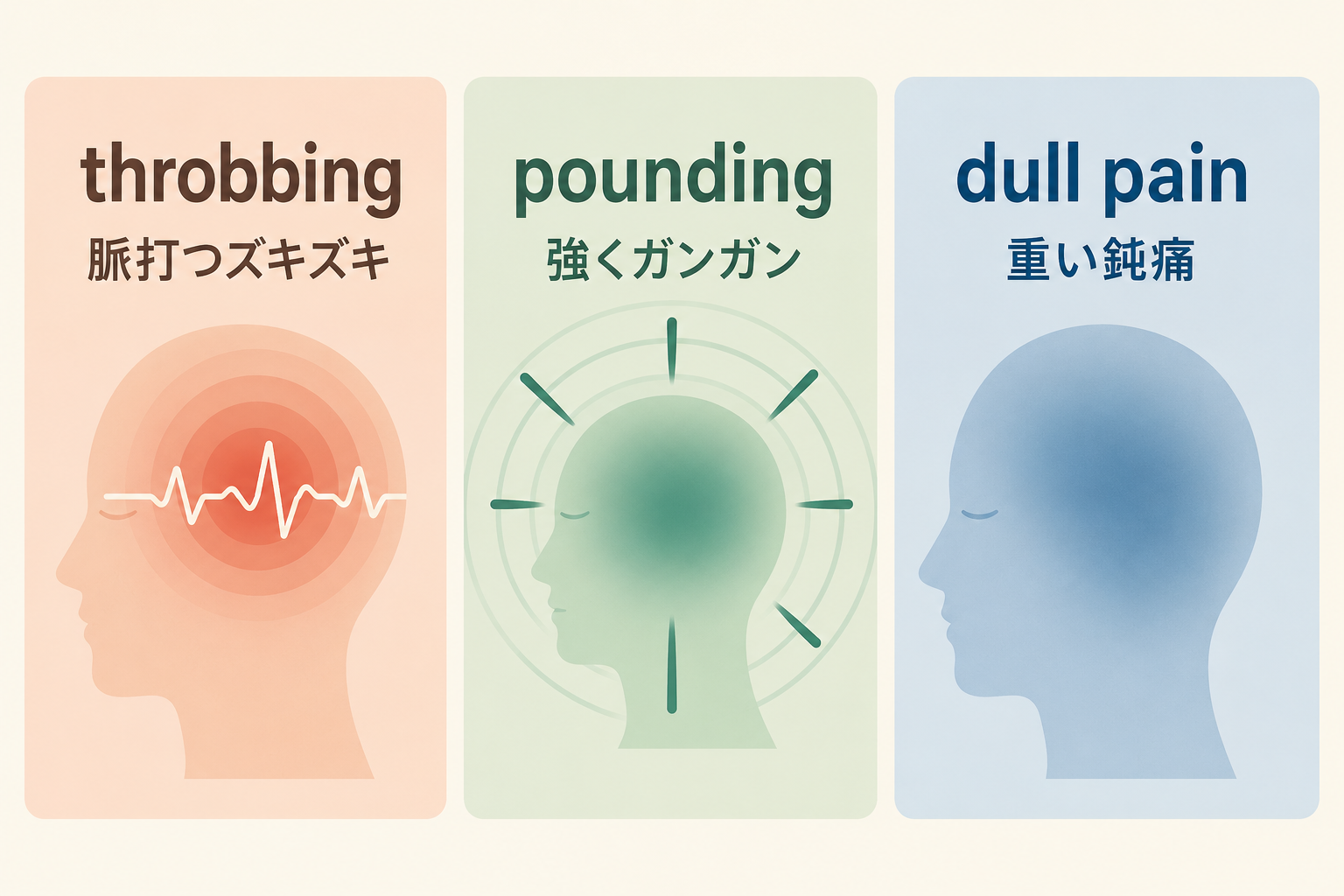 throbbingは脈打つズキズキ、poundingは強くガンガン、dull painは重い鈍痛という違い