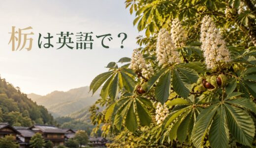 栃・トチノキは英語で？Japanese horse chestnutの発音・学名、栗との違いと栃餅の説明