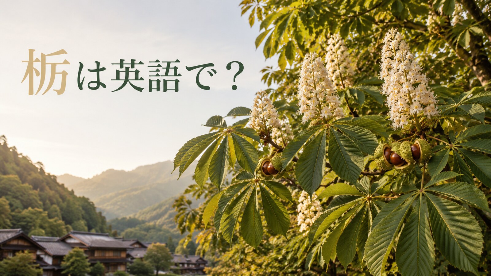 栃は英語で？山里に育つJapanese horse chestnutの葉・花・栃の実