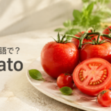 トマトは英語でtomatoと紹介する記事のアイキャッチ