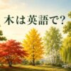 木は英語でtree｜松・楓・銀杏・白樺・柳など樹木の英語名一覧
