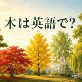 木は英語でtree|松・楓・銀杏・白樺・柳など樹木の英語名一覧