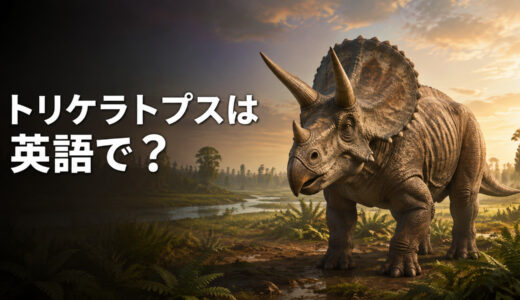 トリケラトプスは英語で？Triceratopsの発音・名前の意味と3本の角を表す英語