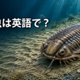 古生代の海底を歩く三葉虫と「三葉虫は英語で？」の文字