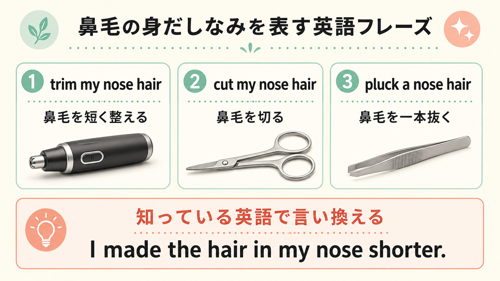 trim、cut、pluckを使う鼻毛の英語と知っている英語での言い換え