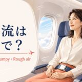 乱気流は英語で Turbulence Bumpy Rough air