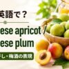 梅は英語でJapanese apricotとJapanese plumと学ぶ、青梅・完熟梅・梅干し・梅酒の解説画像