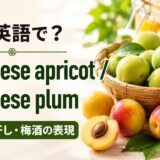 梅は英語でJapanese apricotとJapanese plumと学ぶ、青梅・完熟梅・梅干し・梅酒の解説画像