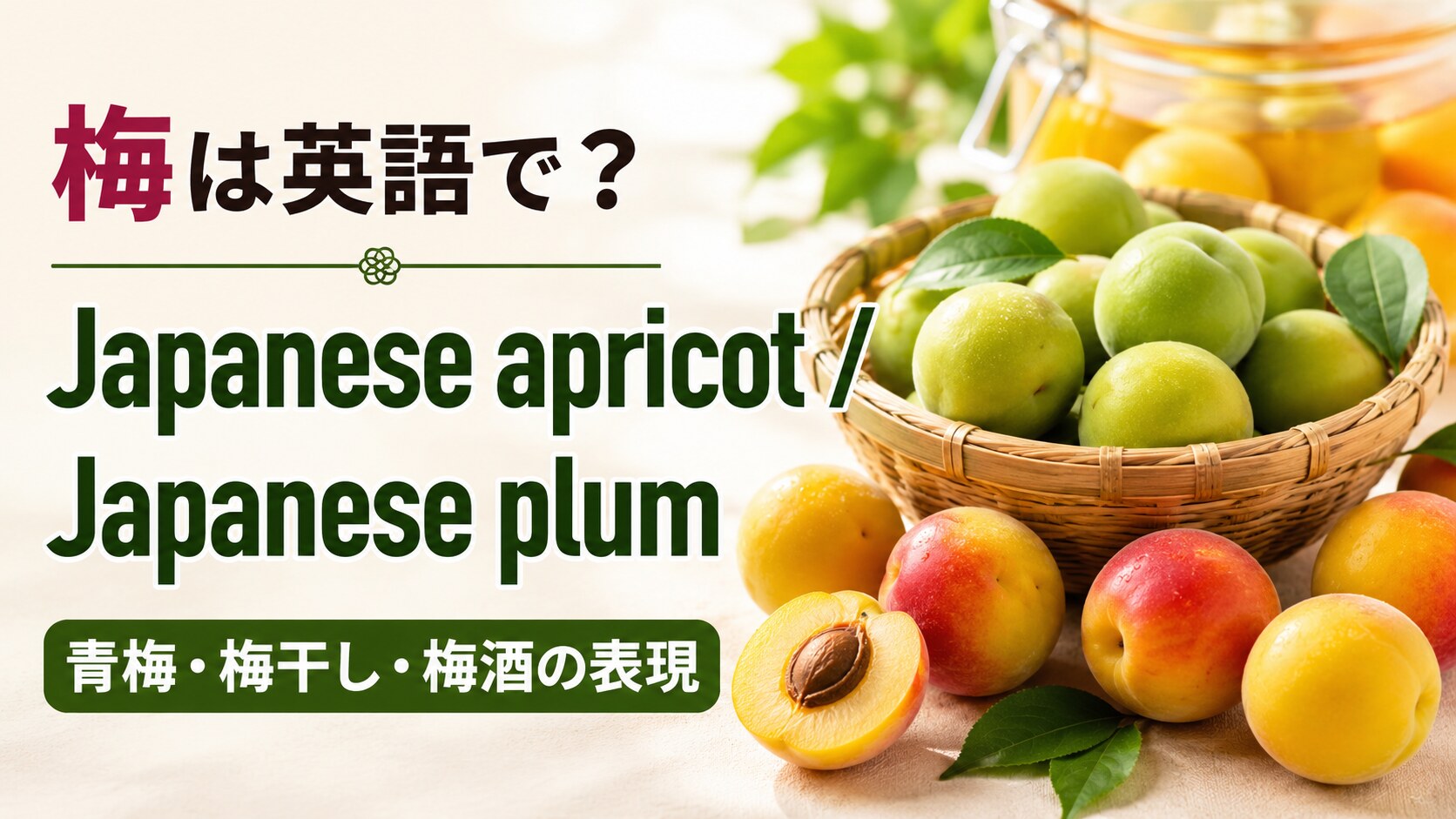 梅は英語でJapanese apricotとJapanese plumと学ぶ、青梅・完熟梅・梅干し・梅酒の解説画像