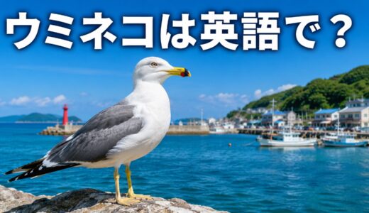 ウミネコは英語で？black-tailed gullの意味・発音とカモメとの違い