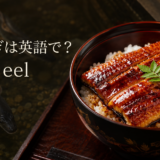 うなぎは英語でeelと示した、うな重とウナギのアイキャッチ画像