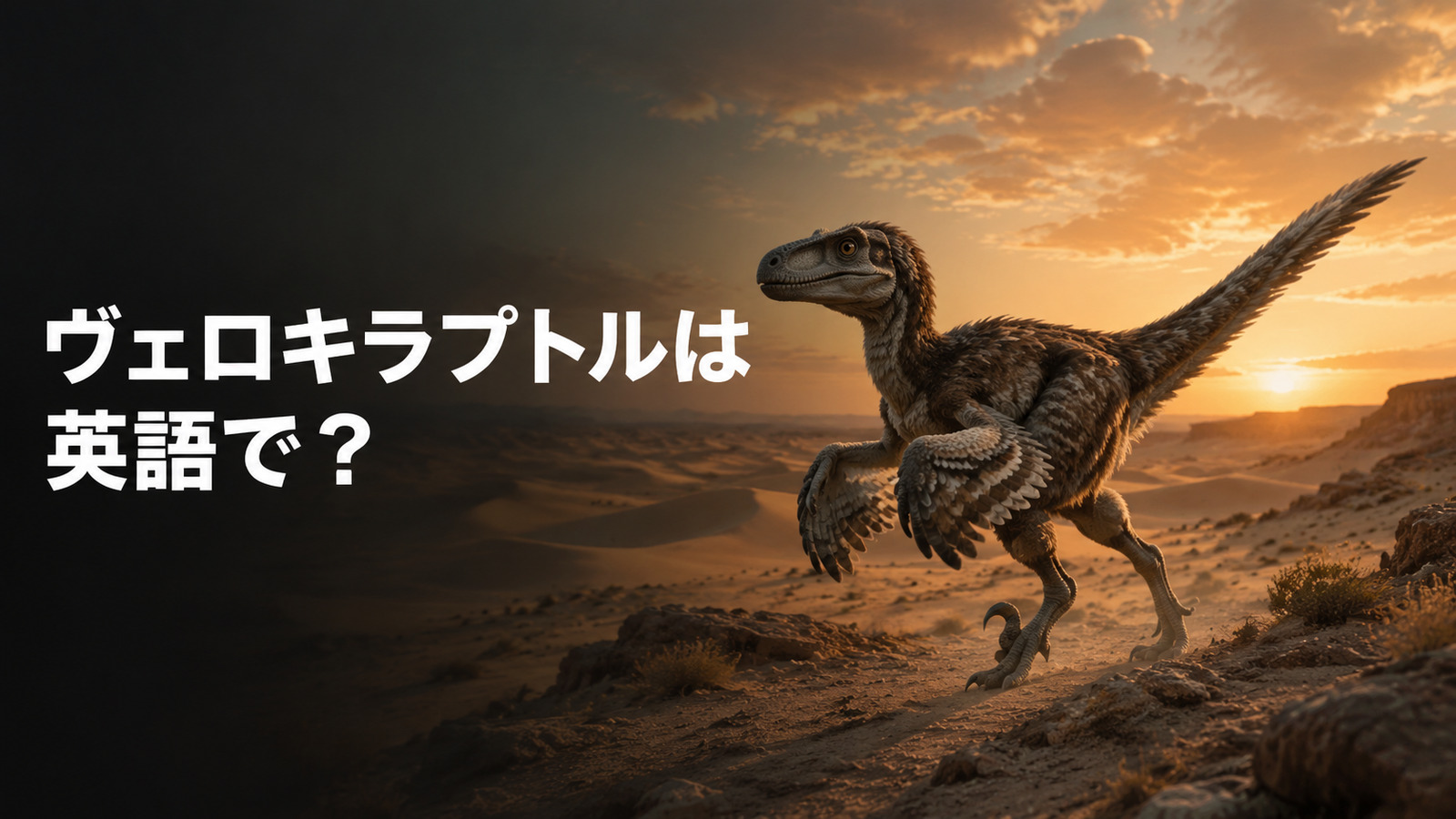 白亜紀の砂漠を走る羽毛のあるヴェロキラプトルと「ヴェロキラプトルは英語で？」の文字