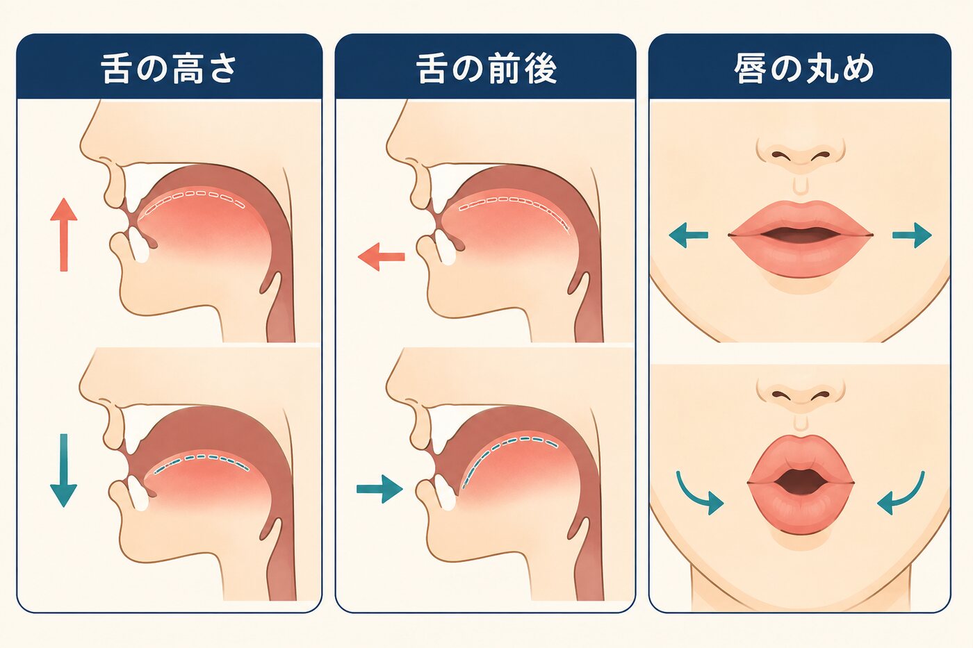 母音を決める舌の高さ・舌の前後・唇の丸めを示す図