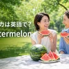スイカは英語でwatermelonと紹介する夏の公園でスイカを楽しむ女性たち