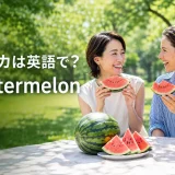 スイカは英語でwatermelonと紹介する夏の公園でスイカを楽しむ女性たち