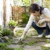 庭の雑草を抜く女性とweedを学ぶ英語記事のアイキャッチ