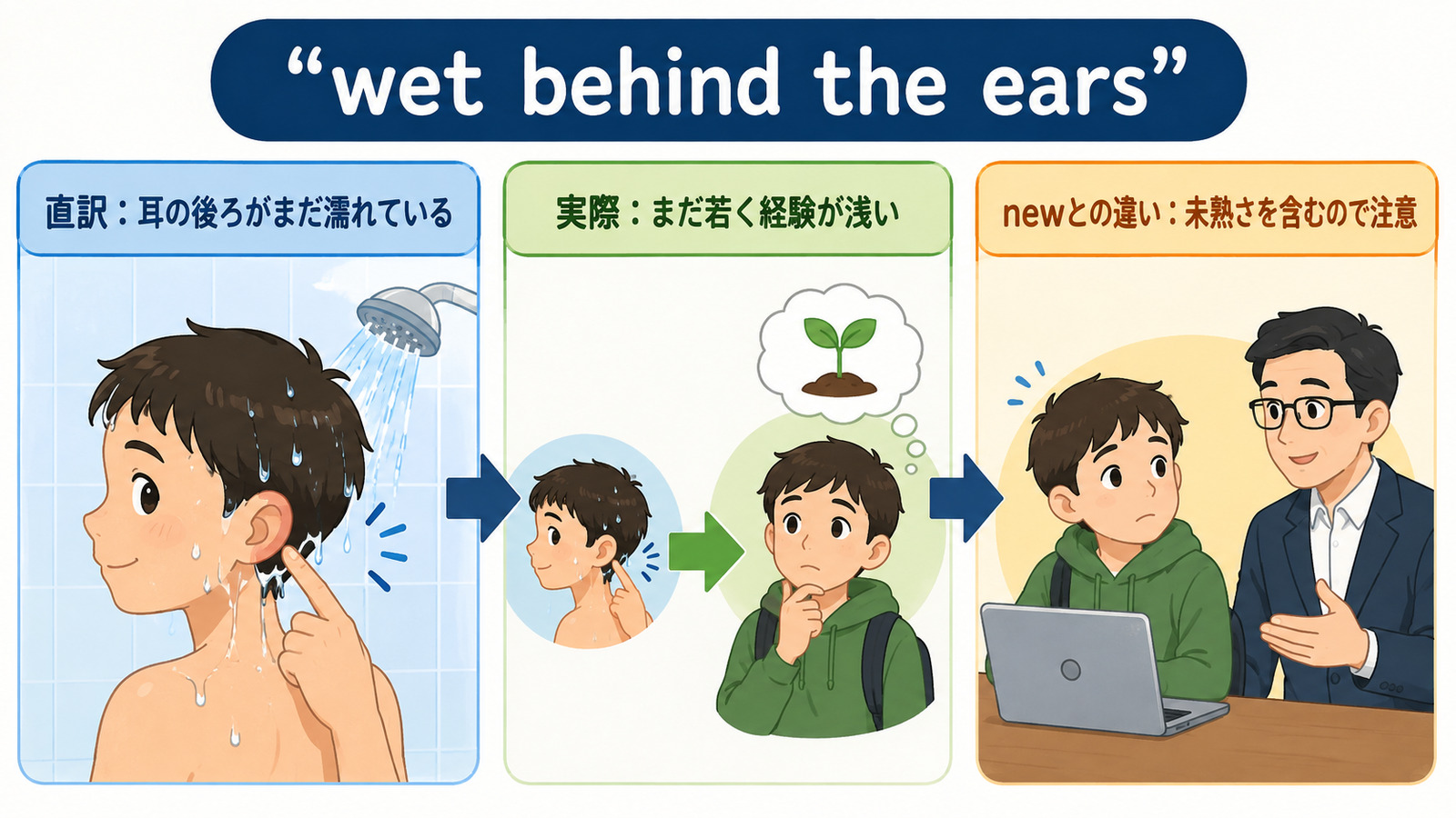 wet behind the earsの比喩とニュアンスを説明する本文イラスト