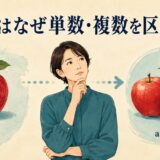 英語はなぜ単数と複数を区別するかをappleとapplesで示したアイキャッチ