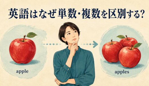 英語はなぜ単数・複数を区別する？日本語との違い
