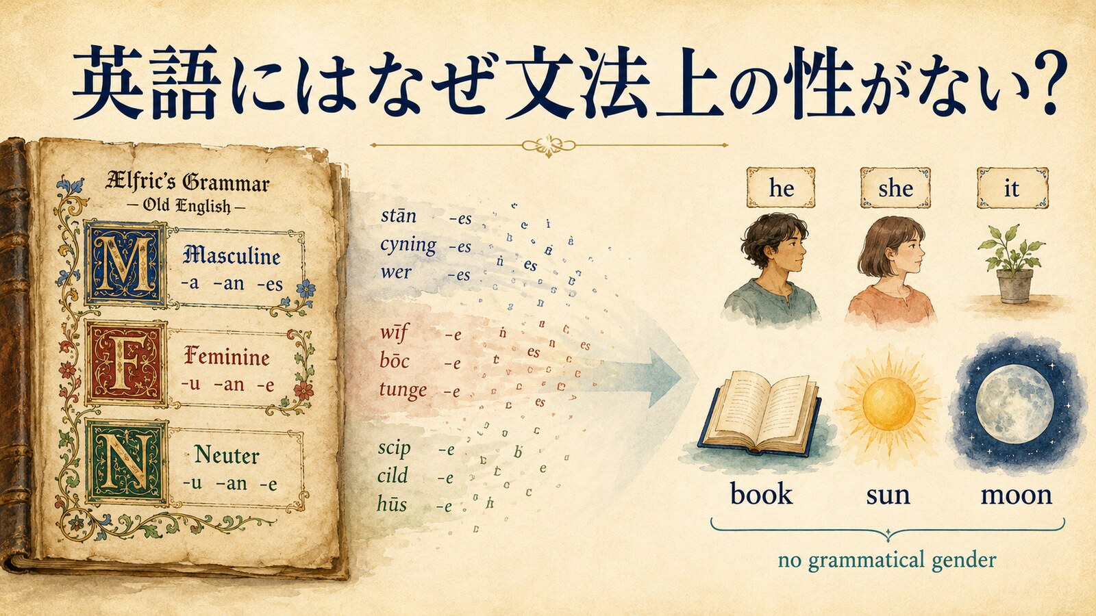 古英語の男性・女性・中性から現代英語への変化を描いたアイキャッチ