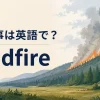 山火事は英語で？ wildfireを学ぶイラスト
