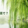 柳は英語で？池の水面へ枝を垂らすweeping willow