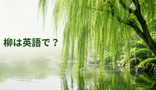 柳は英語で？willow・weeping willowの違い、発音・学名と日本文化の説明