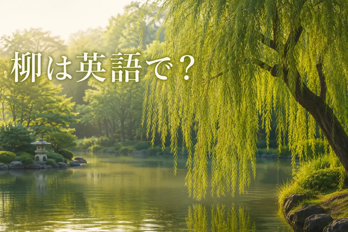 柳を英語で紹介する記事のアイキャッチ