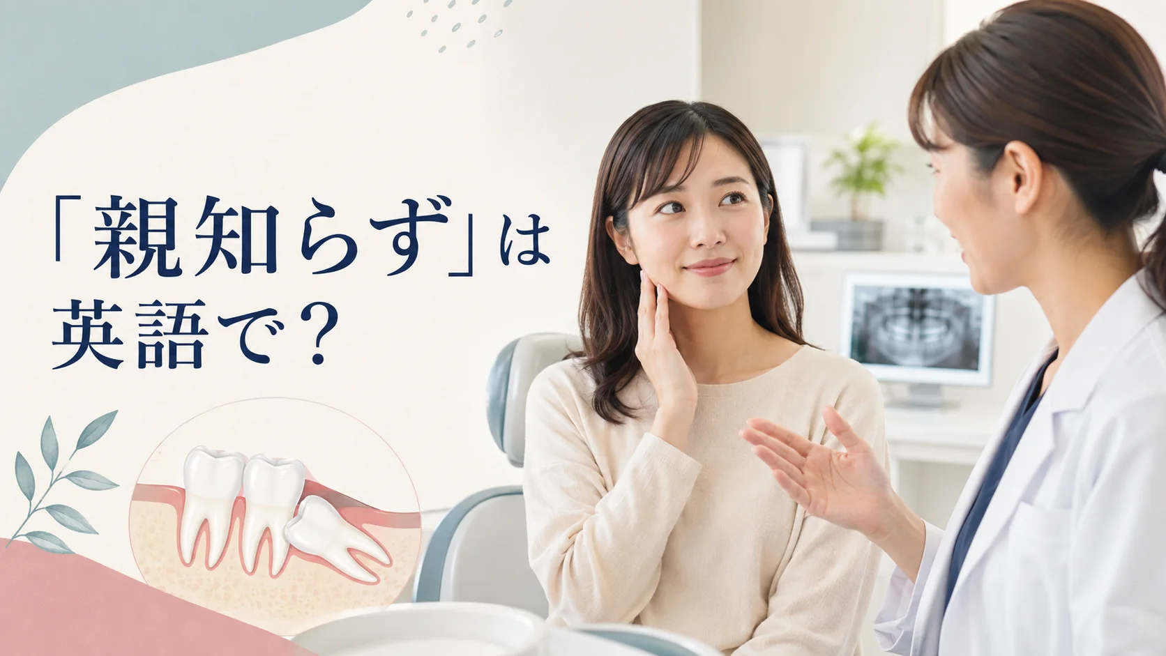 「親知らず」は英語で？wisdom tooth・impacted・extractionの意味と歯医者で使う表現
