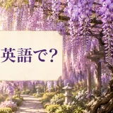 藤は英語で？wisteriaと紹介する藤棚のアイキャッチ