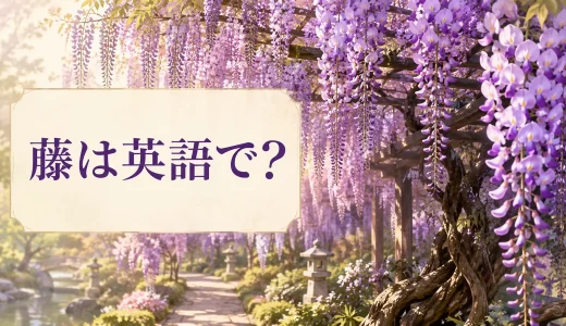 藤は英語で？wisteriaの発音・藤棚の言い方と日本文化の説明例文