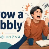 throw a wobblyの意味とニュアンスを示す画像