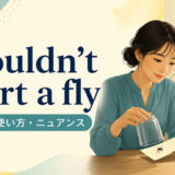 wouldn’t hurt a flyの意味・使い方・ニュアンスを解説するアイキャッチ画像