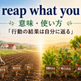 You reap what you sow.の意味と使い方を、種まきと収穫で表したイラスト