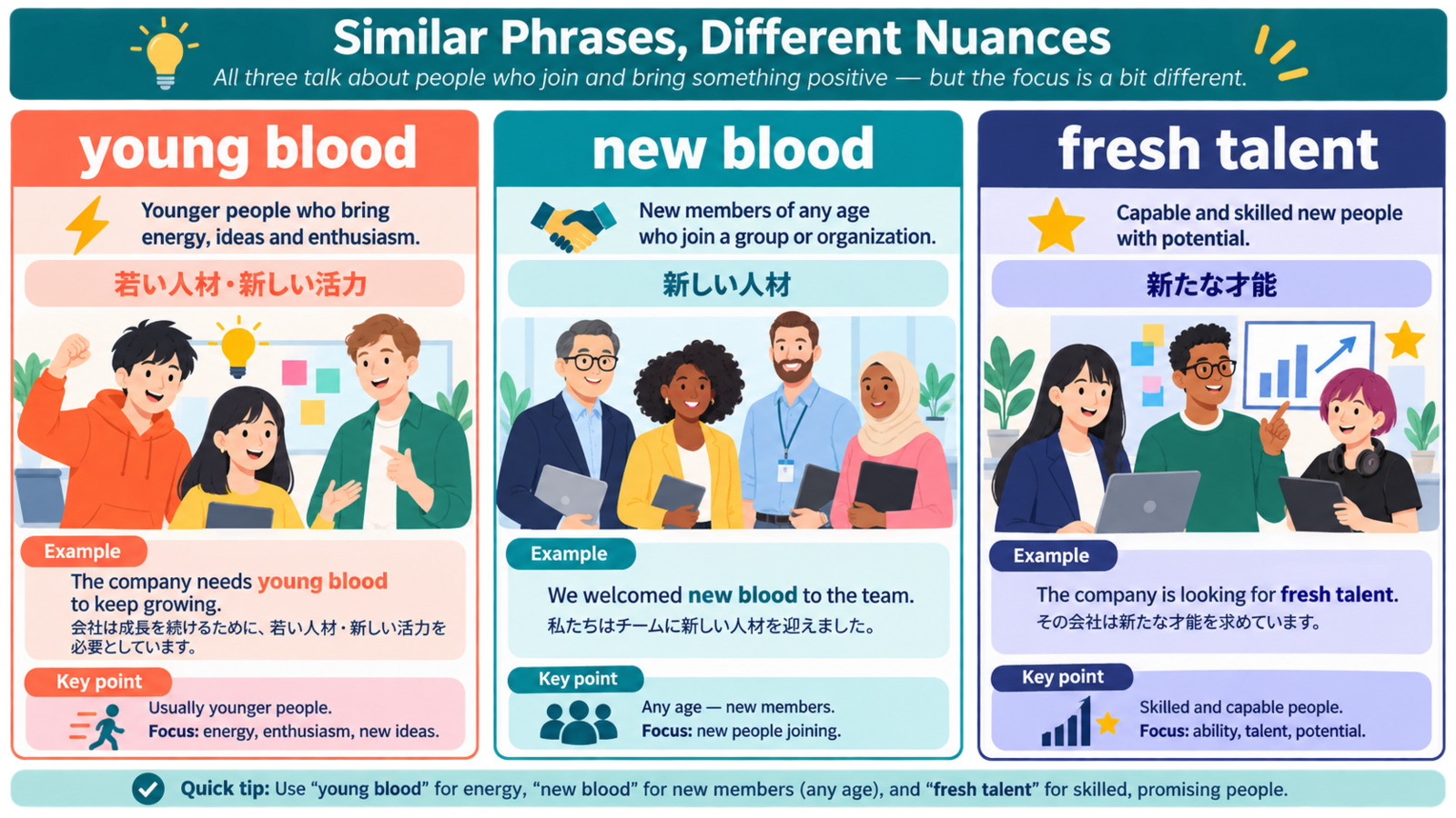young blood、new blood、fresh talentの違いを示す解説イラスト