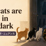 All cats are grey in the darkの意味・使い方を解説するアイキャッチ画像