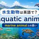 水生動物は英語で｜aquatic animalの意味