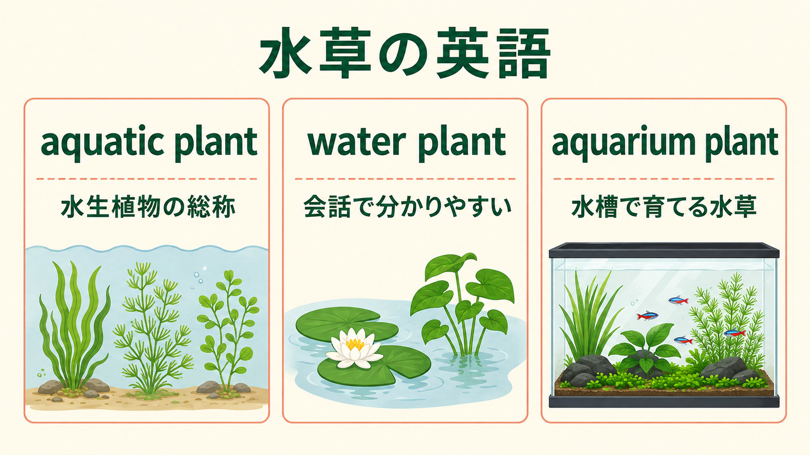 水草は英語で?aquatic plant・water plantの表現の違い