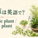 水草は英語で?aquatic plant・water plant