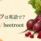 ビーツ、beet、beetrootの米英差を紹介する画像