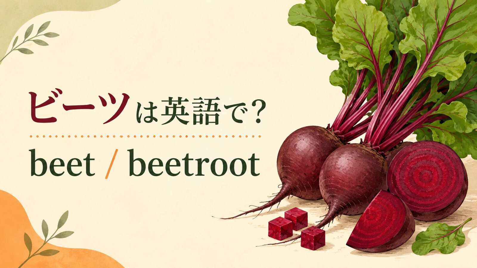 ビーツは英語でbeetと表すことを紹介するアイキャッチ画像