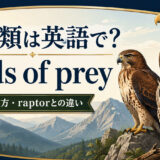 猛禽類は英語で|birds of preyの意味