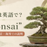 盆栽は英語でbonsaiと紹介するアイキャッチ画像