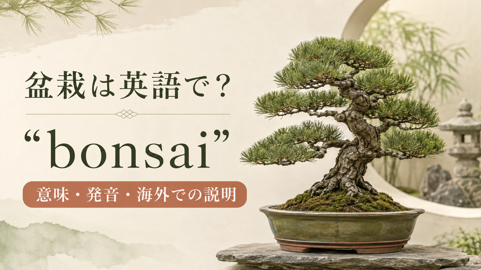 盆栽は英語でbonsaiと紹介するアイキャッチ画像