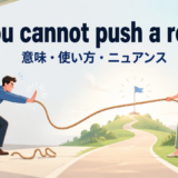 cannot-push-ropeの意味と使い方
