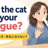 Has the cat got your tongue?の意味・使い方